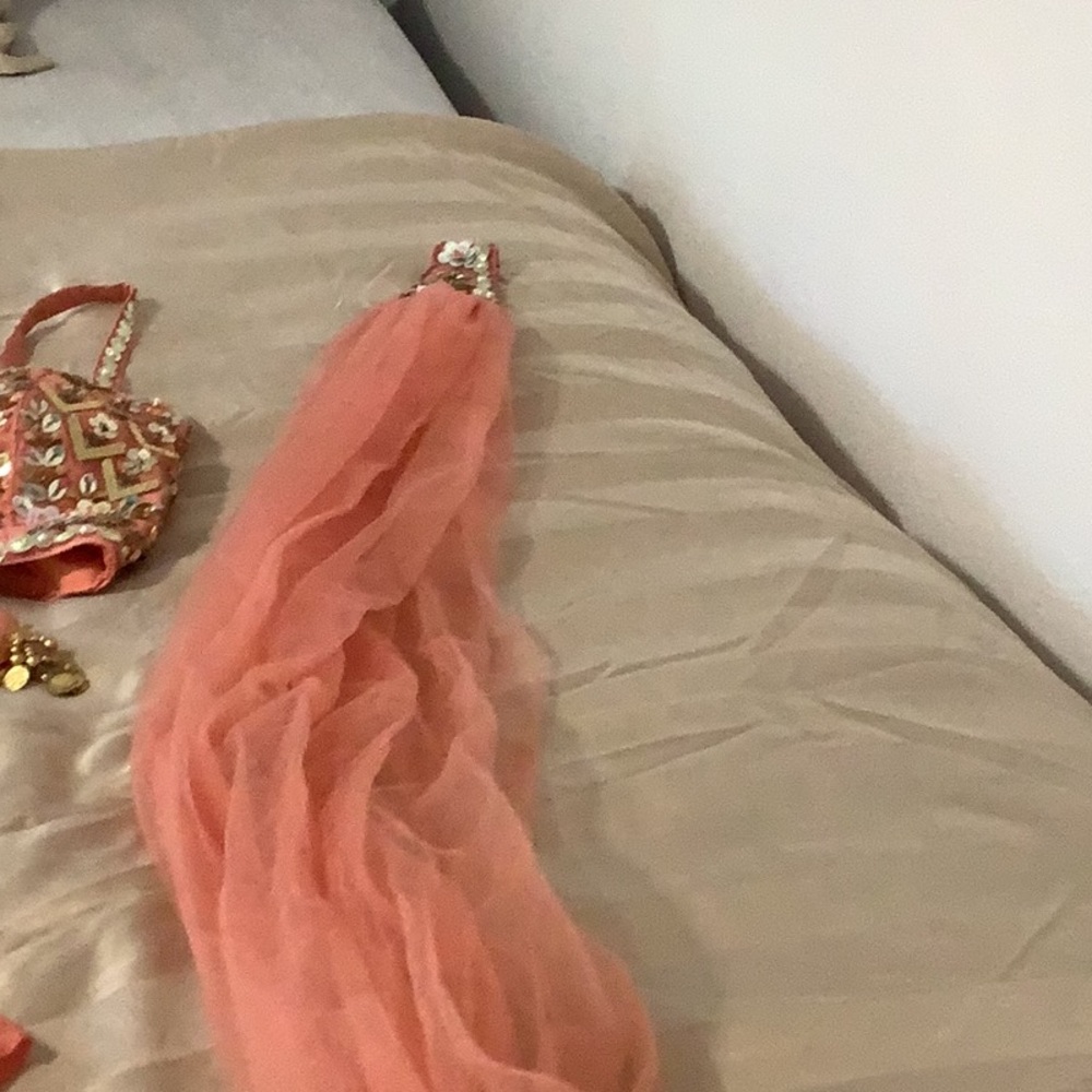 Embellished Coral Pink Beaded Bra Top - Picture 16 of 16